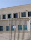 שבטי ישראל