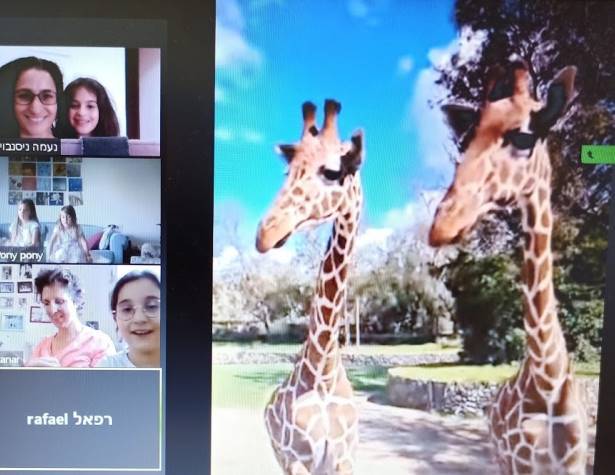 טיול קהילתי בזום טיול קהילתי בזום