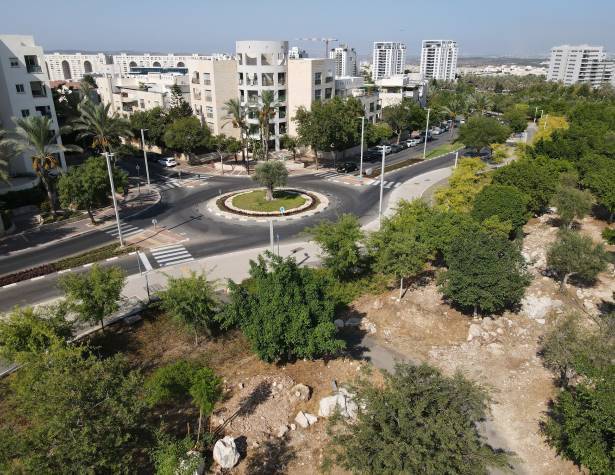 בית גידול לעצי רחוב בעיר בית גידול לעצי רחוב בעיר