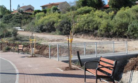 תמונות רובע מכבים רעות: תמונה 6 מתוך 18