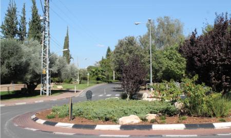 תמונות רובע מכבים רעות: תמונה 1 מתוך 18