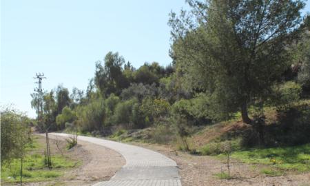 תמונות רובע מכבים רעות: תמונה 18 מתוך 18