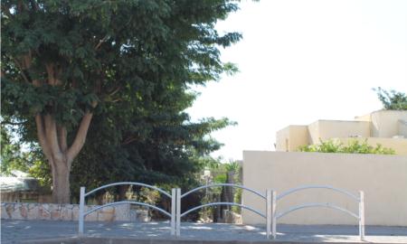 תמונות רובע מכבים רעות: תמונה 12 מתוך 18