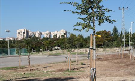 תמונות רובע מכבים רעות: תמונה 13 מתוך 18