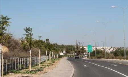 תמונות רובע מכבים רעות: תמונה 8 מתוך 18