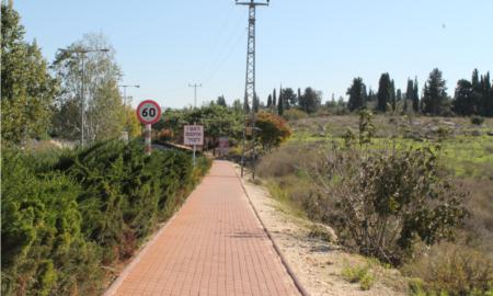 תמונות רובע מכבים רעות: תמונה 9 מתוך 18