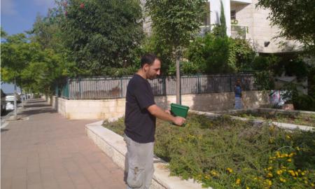הדברת נמלי אש