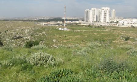 תמונות: מבט מפסגת ברפיליה אל עבר קצה שדרות עמק בית-שאן