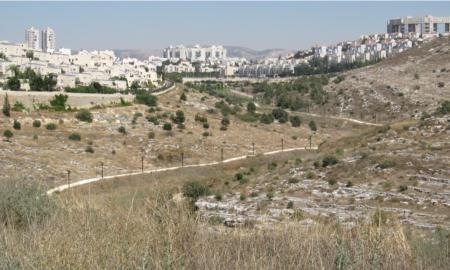 תמונות: ערוץ נחל ענבה ממערב לשגר דרך יהודה המכבי. ברקע מימין נראית גבעת שכונת משואה