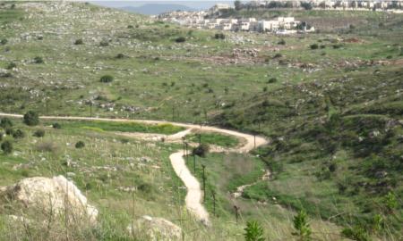 תמונות: הדרך באפיק נחל ענבה. משמאל לערוץ – נטיעות קק''ל חדשות