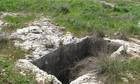 אלבום תמונות: חציבה (מערת קבורה מטיפוס ארקוסוליה?) בחלק העליון של המדרון הדרומי
