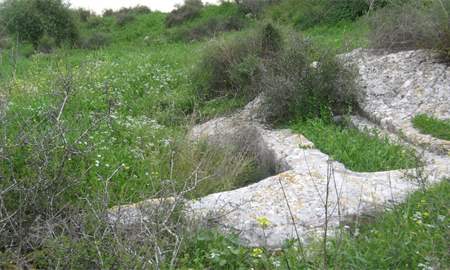 אלבום תמונות: גת אשר הוסבה מאוחר יותר למערת קבורה – המדרון הצפוני של גבעת חרובה