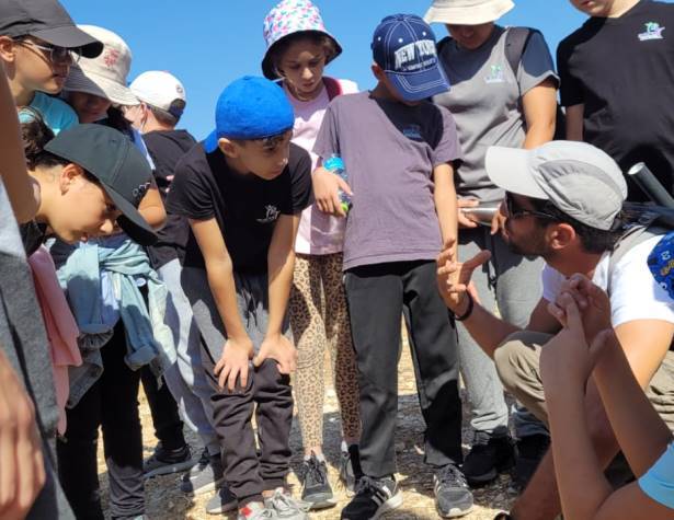 בית ספר כרמים