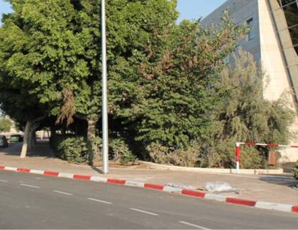 הפארק הטכנולוגי מודיעין מכבים רעות