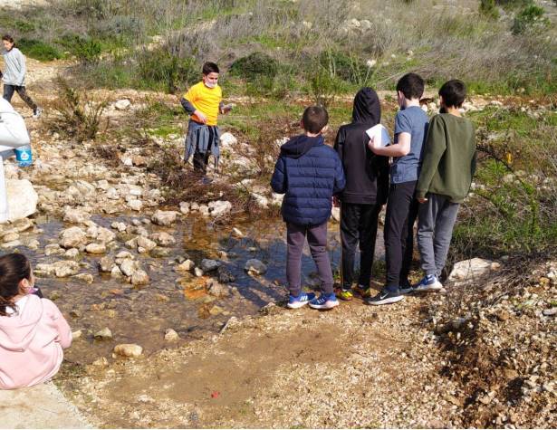 בי"ס ענבלים