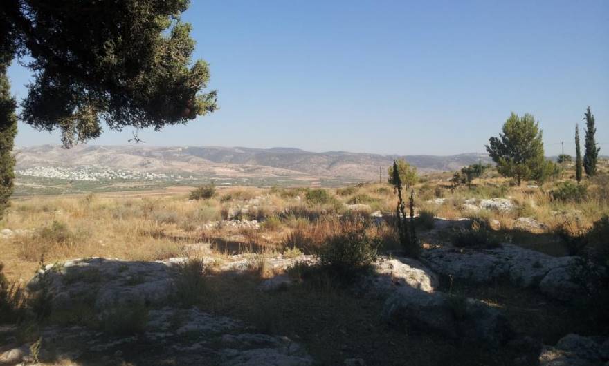 תמונות: גבעת הברושים – המדרון הדרום-מזרחי. ברקע צפון עמק איילון ומערב הרי-ירושלים