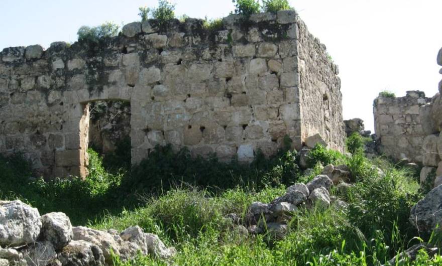 אלבום תמונות: שרידי הכפר אל-כונייסה