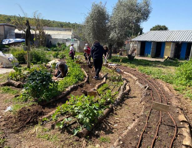 החווה האקולוגית ''חווה ואדם'' החווה האקולוגית ''חווה ואדם''
