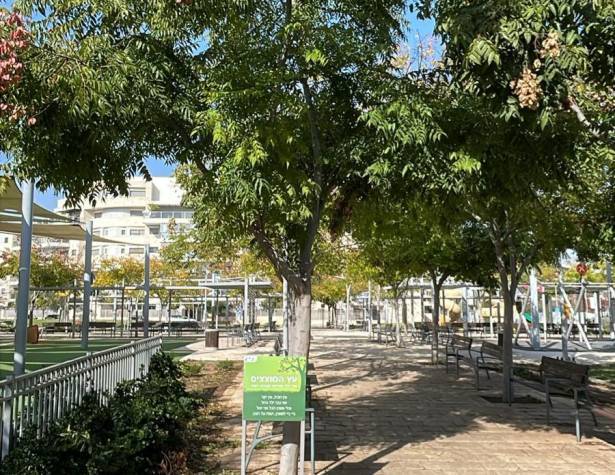עץ המוצצים בשכונת נופים עץ המוצצים בשכונת נופים