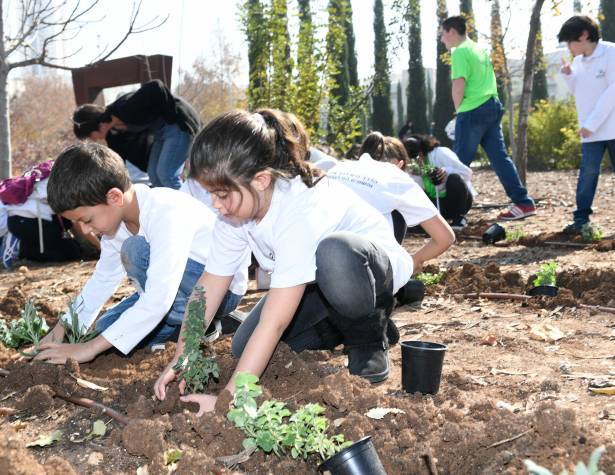 ט''ו בשבט – תמונת המחשה ט''ו בשבט – תמונת המחשה