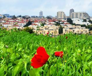 כך נסייע לילדים להתמודד