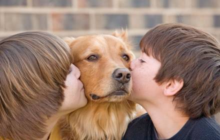 לקרוא עם חבר על ארבע לכיתה א' לקרוא עם חבר על ארבע לכיתה א'