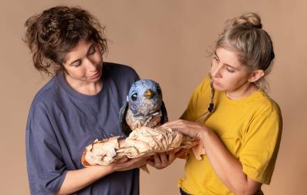 ציפורה – הצגה חושית ומוזיקלית ציפורה – הצגה חושית ומוזיקלית