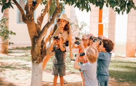 הספארי הנסתר - סיור תיאטרלי-מיניאטורי הספארי הנסתר - סיור תיאטרלי-מיניאטורי