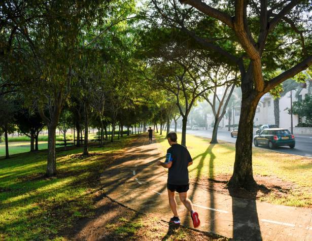 הולכים בפארק עמק החולה הולכים בפארק עמק החולה