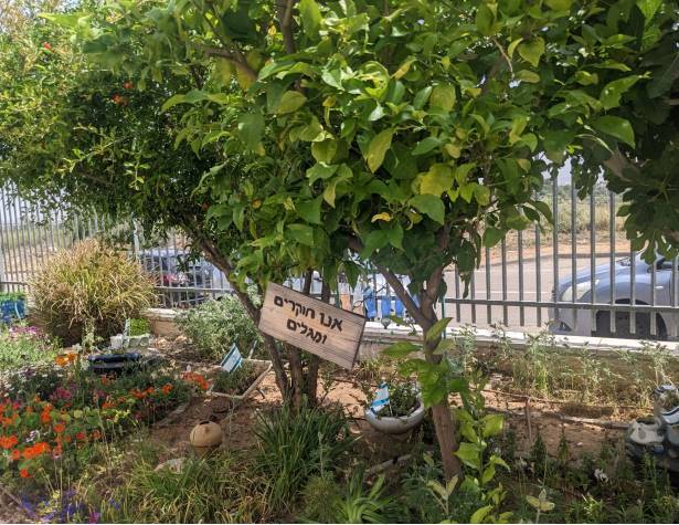 גני ילדים ירוקים גני ילדים ירוקים