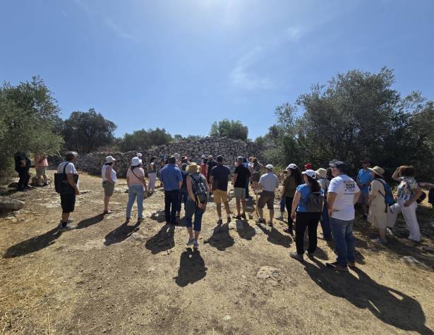 מיזם הליכות ג'יין מיזם הליכות ג'יין