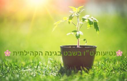 נטיעות ט״ו בשבט בגינה הקהילתית 