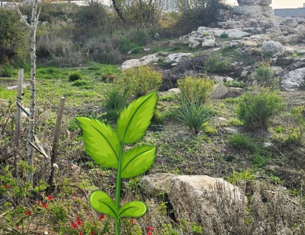 Givat Ashon Givat Ashon