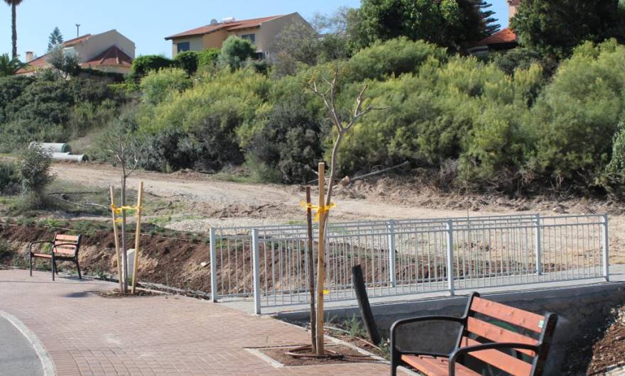 תמונות רובע מכבים רעות: תמונה 6 מתוך 18