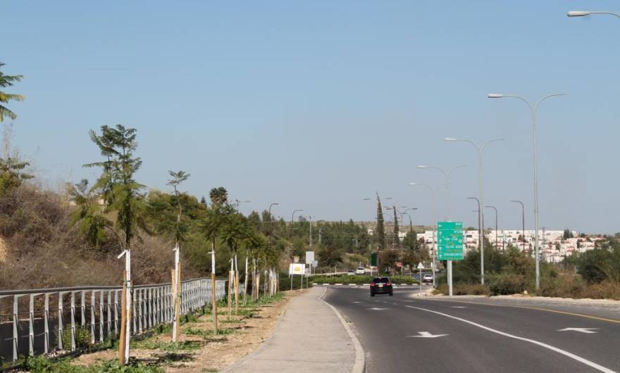 תמונות רובע מכבים רעות: תמונה 8 מתוך 18
