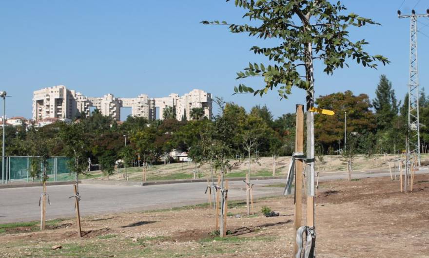 תמונות רובע מכבים רעות: תמונה 13 מתוך 18