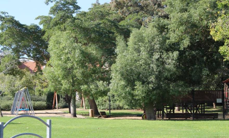 תמונות רובע מכבים רעות: תמונה 14 מתוך 18