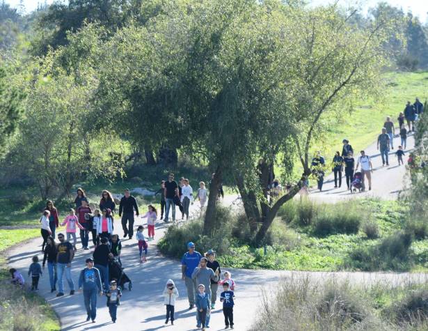 צעדת מודיעין 