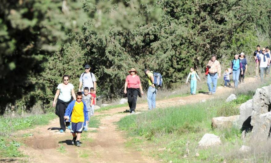 תמונות תרבות: צעדת מודיעין