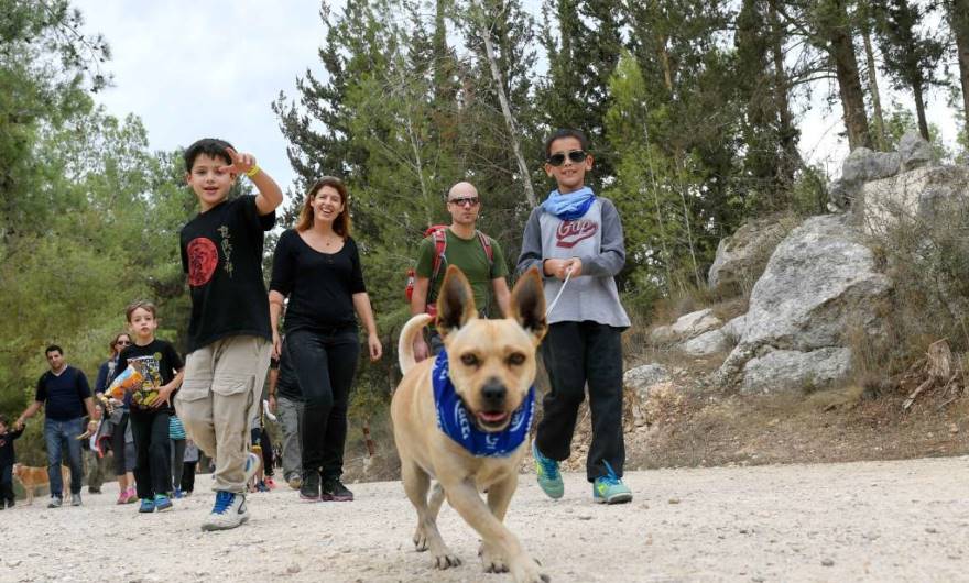 תמונות תרבות: צעדת מודיעין