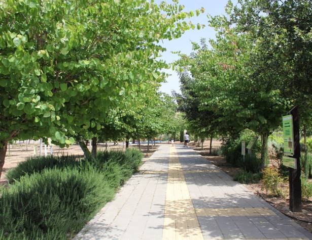 חורשת הנופלים