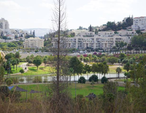 נוף מטיילת חוט השני 