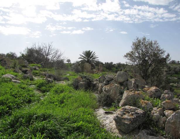 הגבעות הדרומיות הגבעות הדרומיות