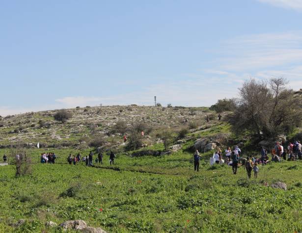 הגבעות הדרומיות הגבעות הדרומיות