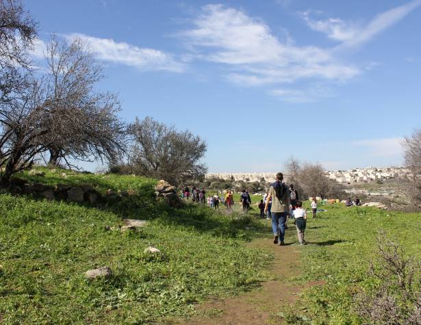 הגבעות הדרומיות הגבעות הדרומיות