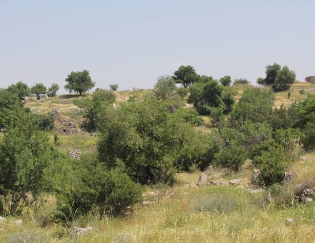הגבעות הדרומיות הגבעות הדרומיות