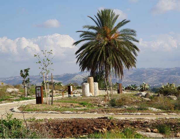 הגן הארכיאולוגי הגן הארכיאולוגי