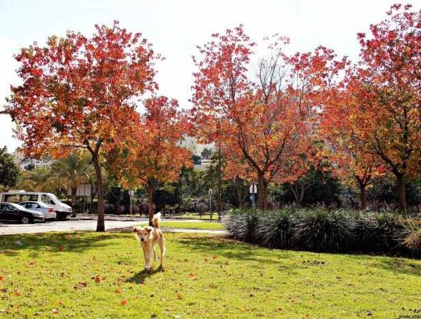תמונת המחשה. צילום: יוסי וונש תמונת המחשה. צילום: יוסי וונש