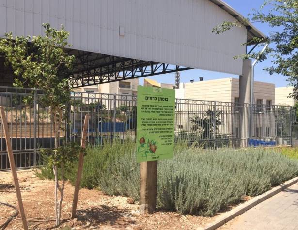 בוסתן כרמים