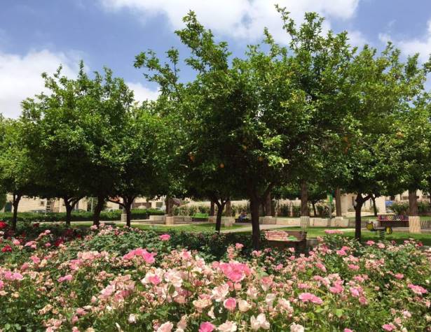 פארק עמק דותן